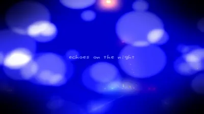 echoes on the night